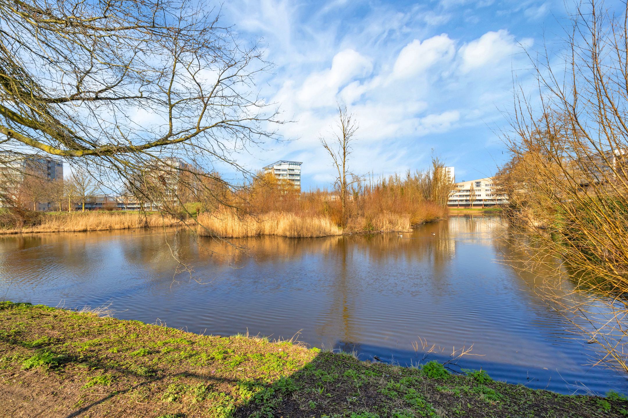 Foto 36 van Burgemeester Honnerlage Gretelaan 41