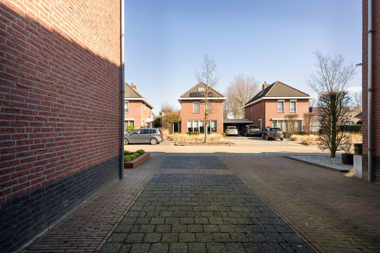 Foto 50 van Liebetehofstraat 5