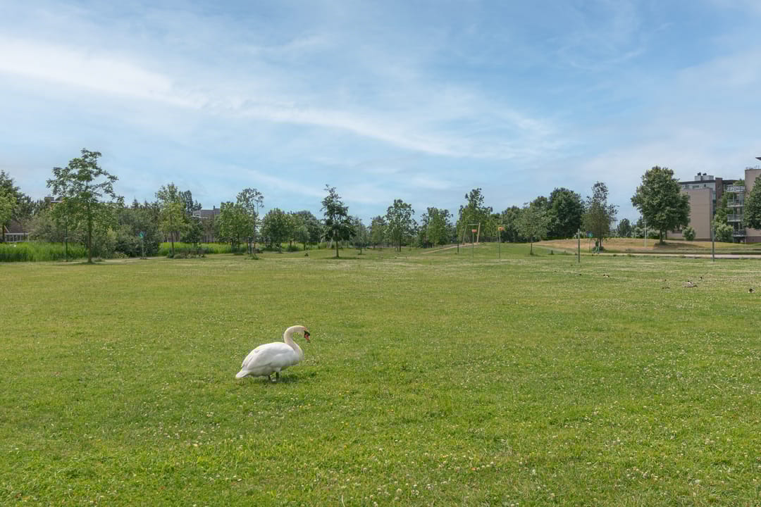 Photo 38 of Vechtpolder 29