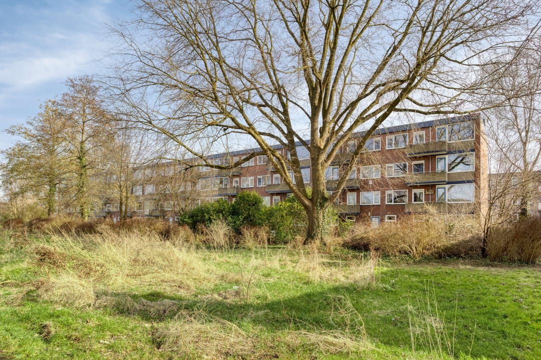 Foto 37 van Multatulistraat 41