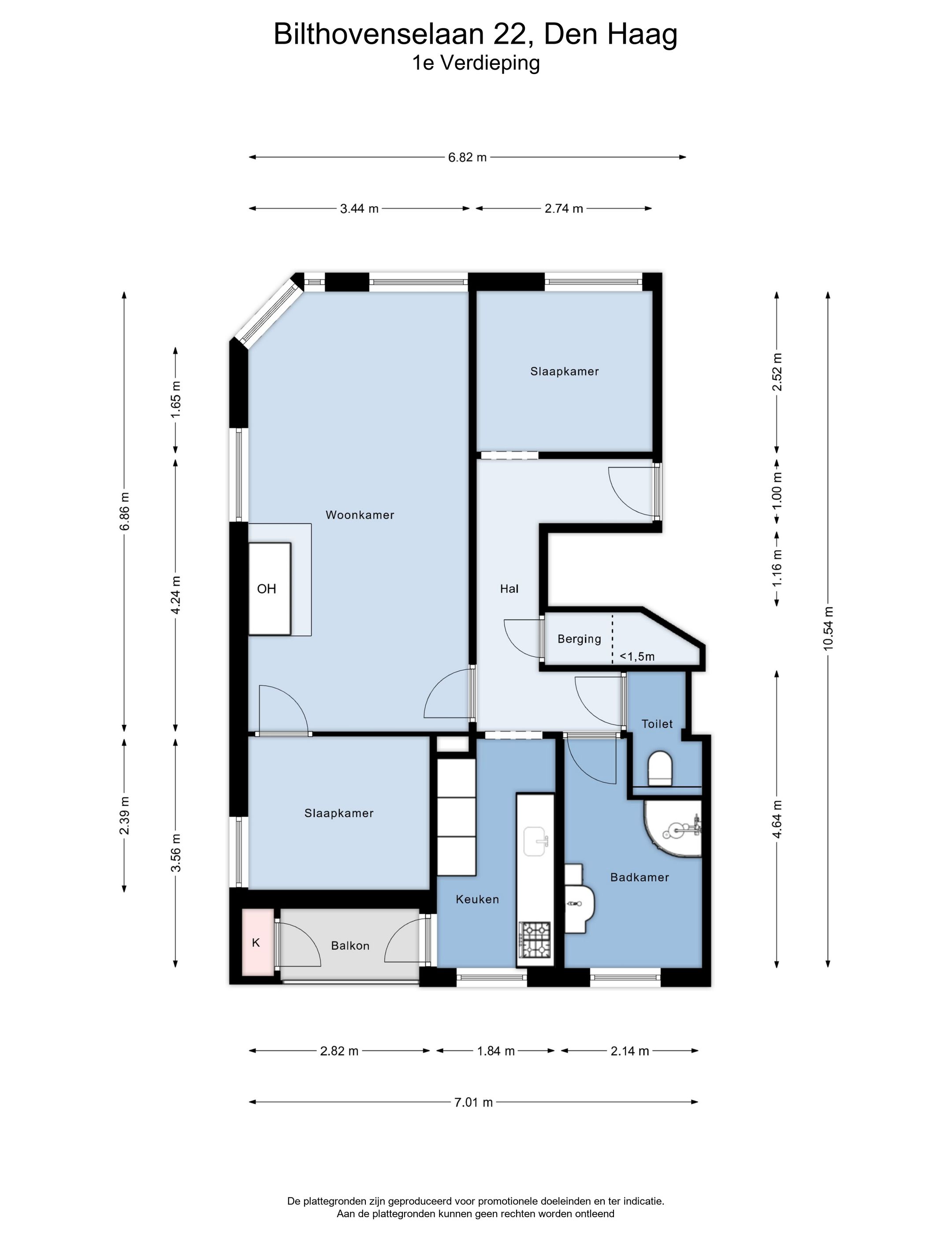 Foto 21 van Bilthovenselaan 22