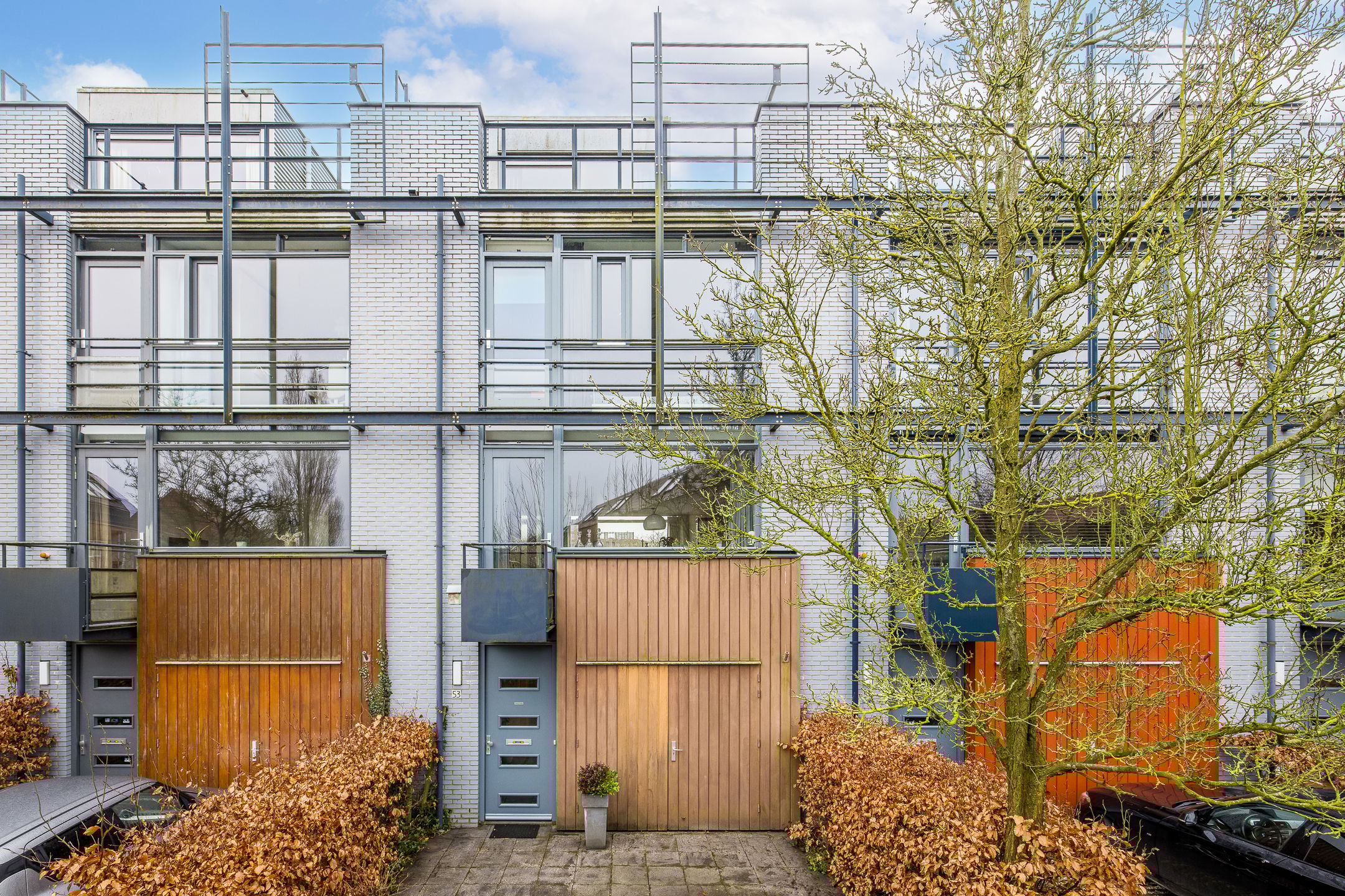 Weerschijnvlinder 53 