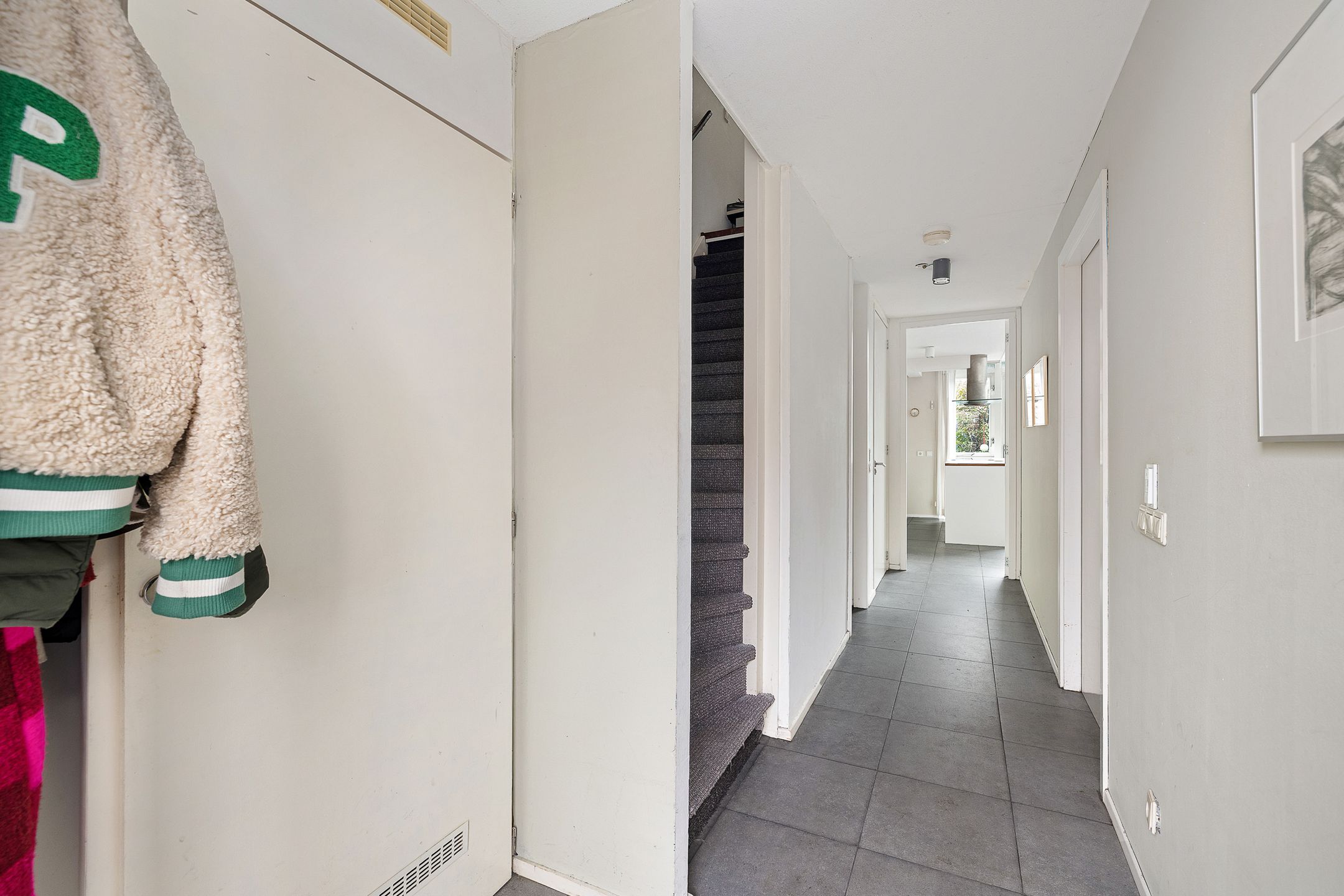 Foto 12 van Weerschijnvlinder 53