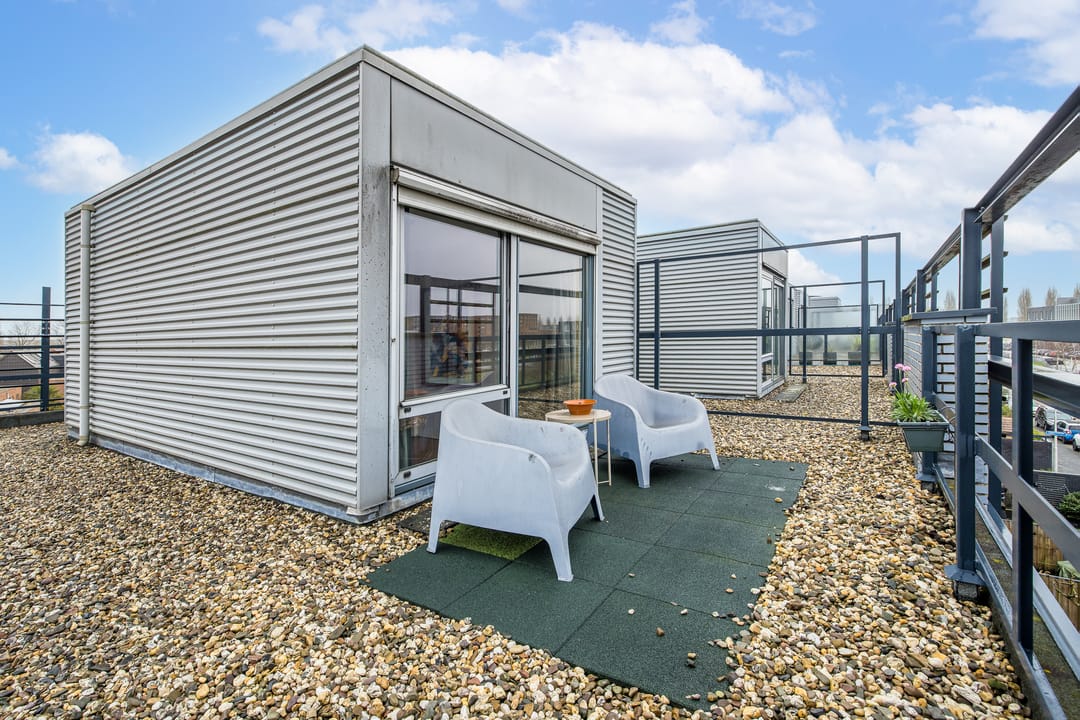 Foto 28 van Weerschijnvlinder 53