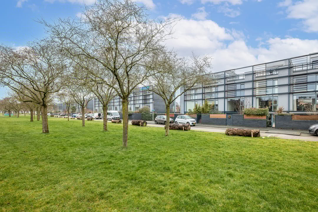 Foto 31 van Weerschijnvlinder 53