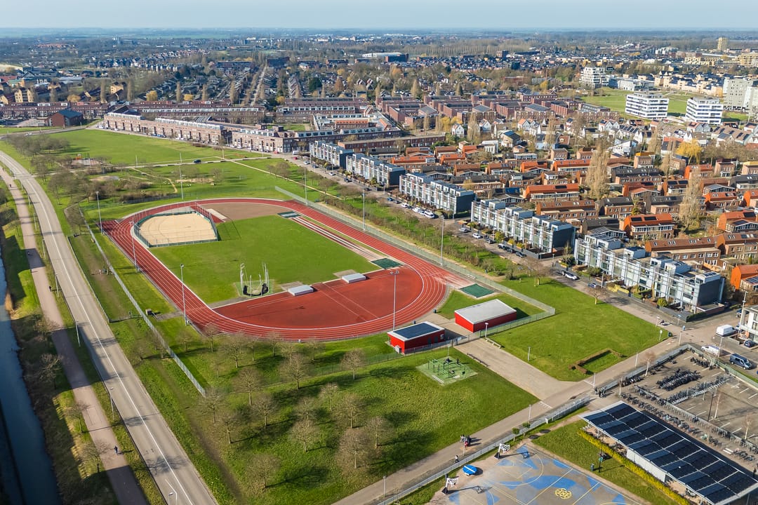 Foto 32 van Weerschijnvlinder 53