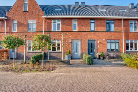 undefined main image