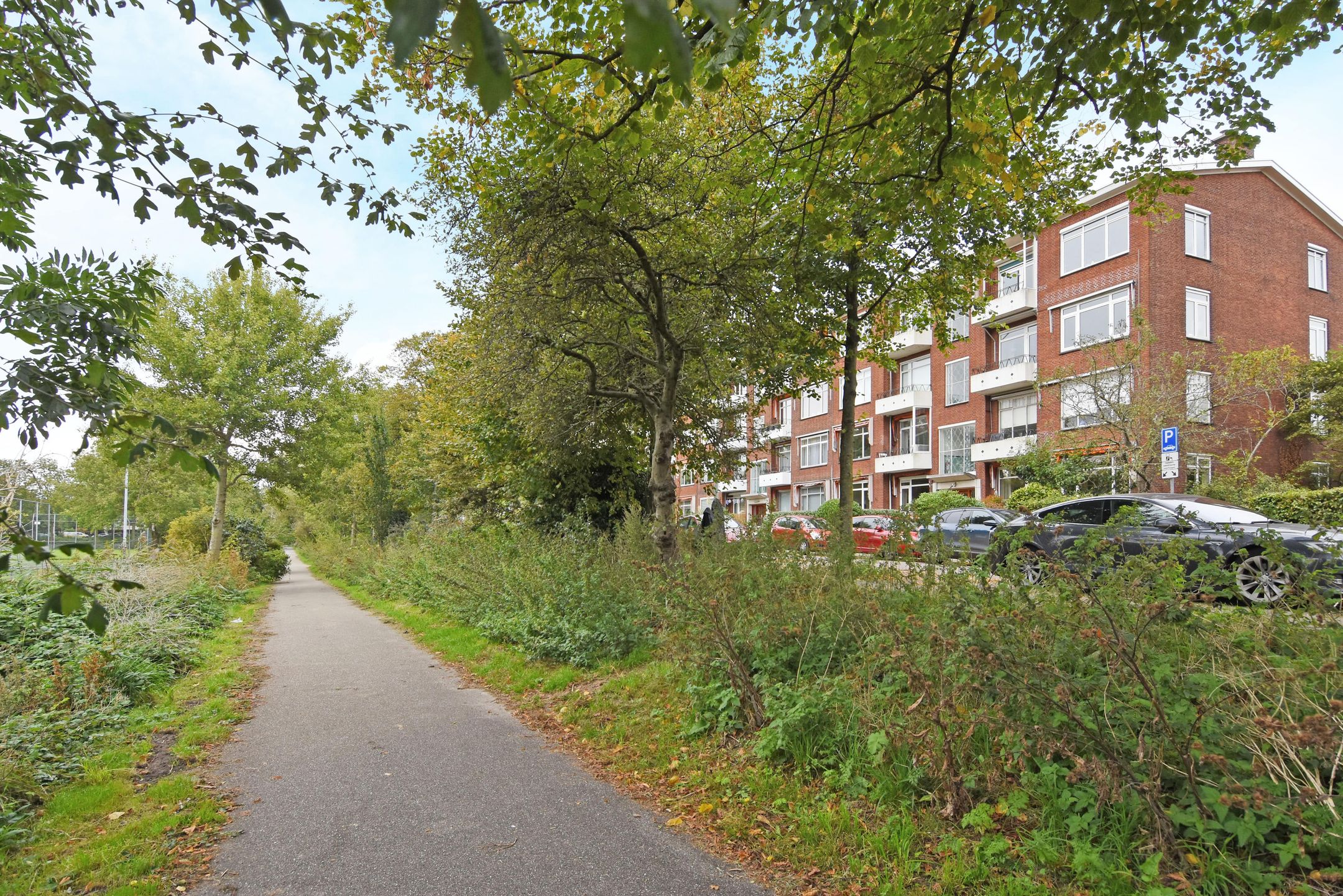 Foto 42 van Stokroosstraat 127