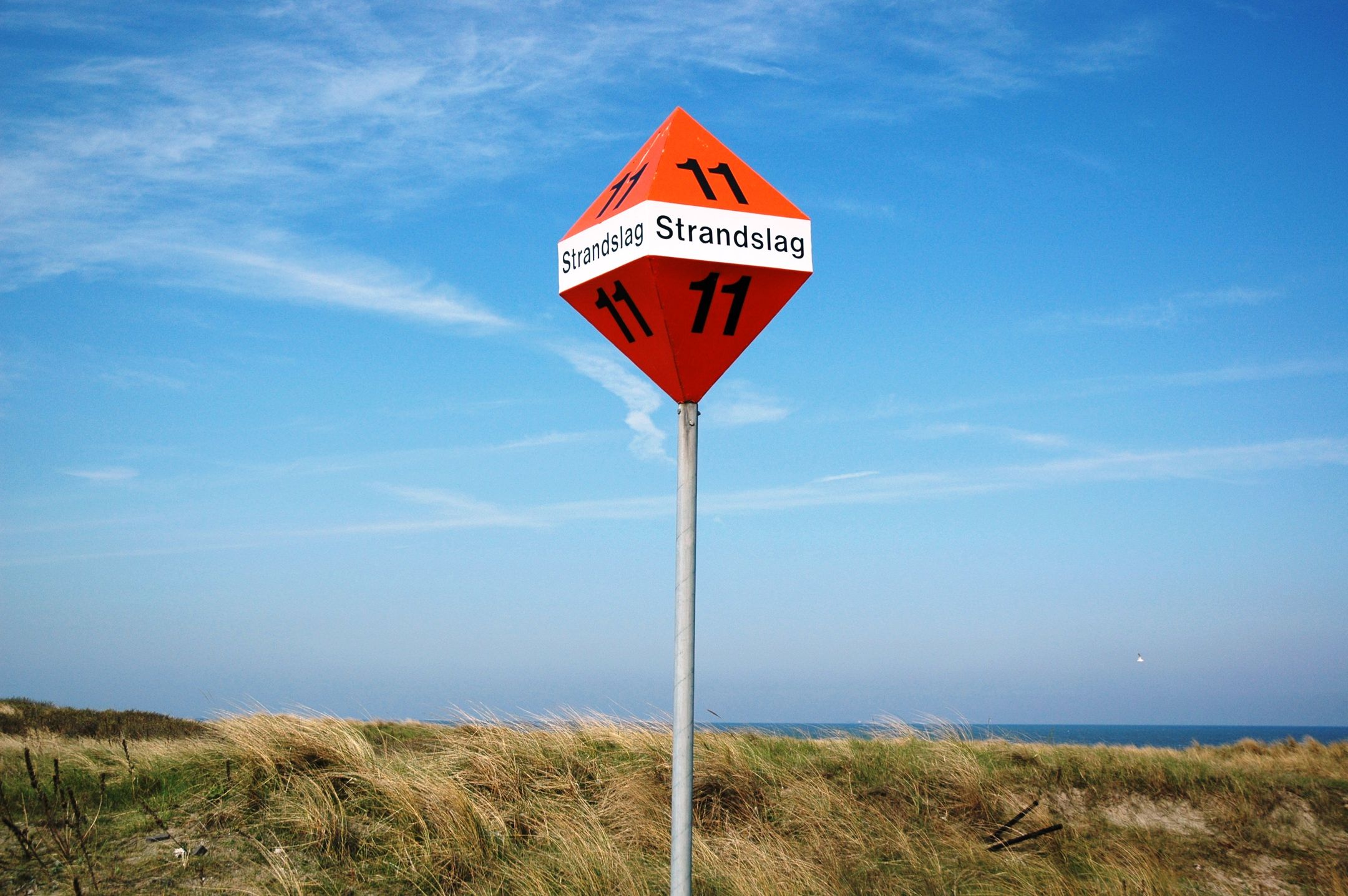 Foto 45 van Stokroosstraat 127