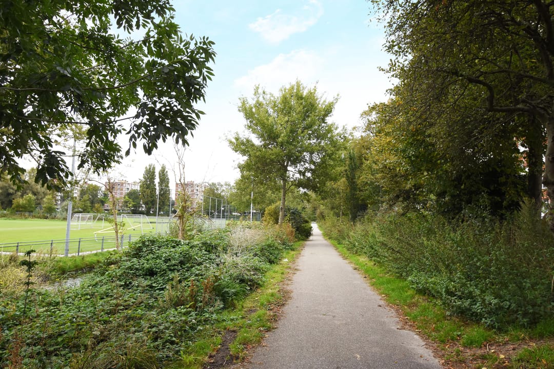 Foto 43 van Stokroosstraat 127