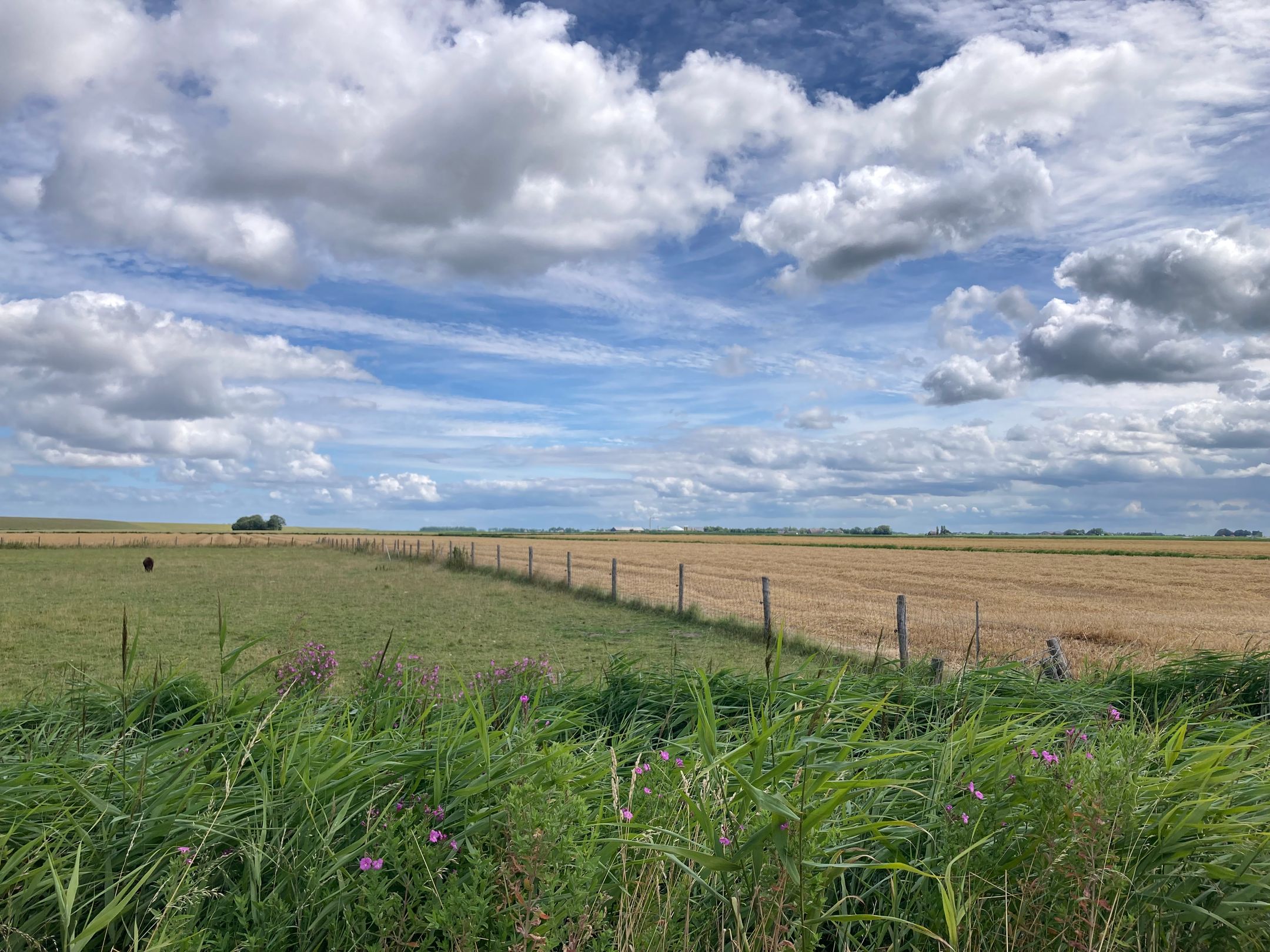 Photo 30 of Grândyk 9