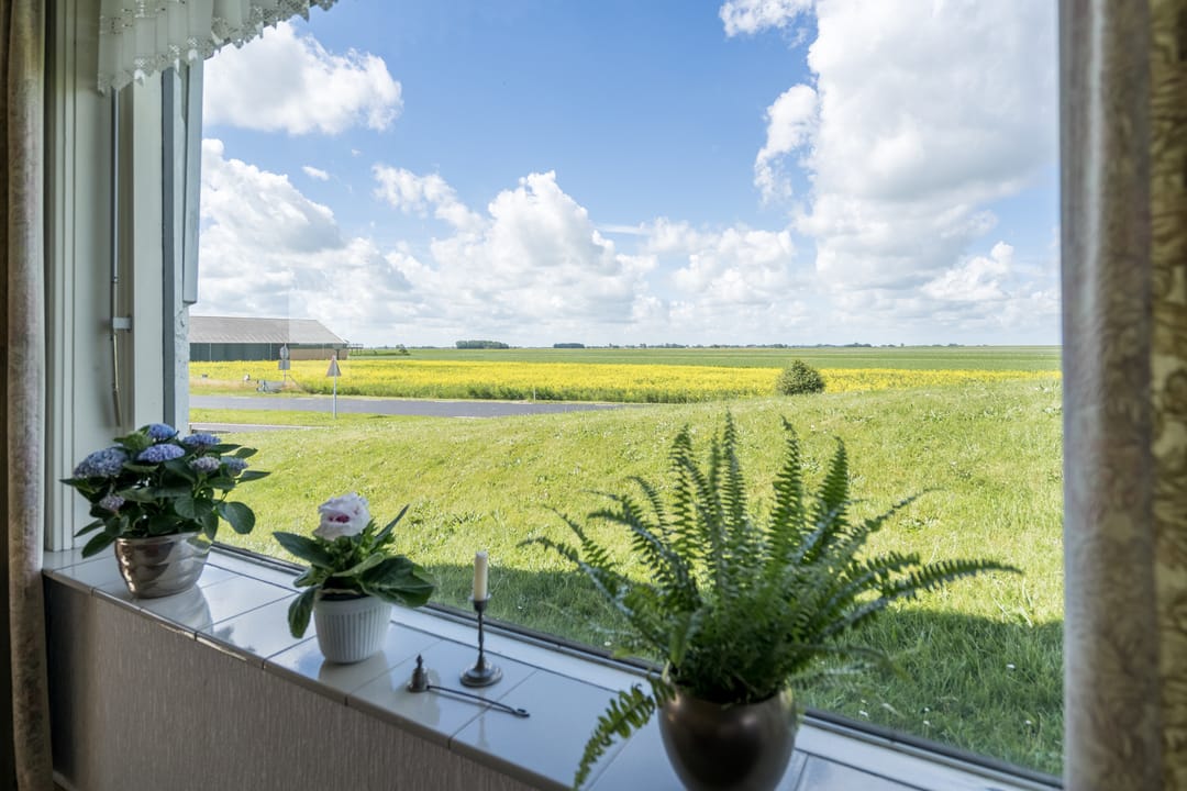 Photo 13 of Grândyk 9