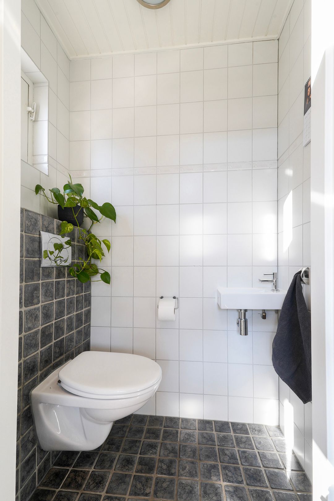 Foto 7 van Het Kapittel 41