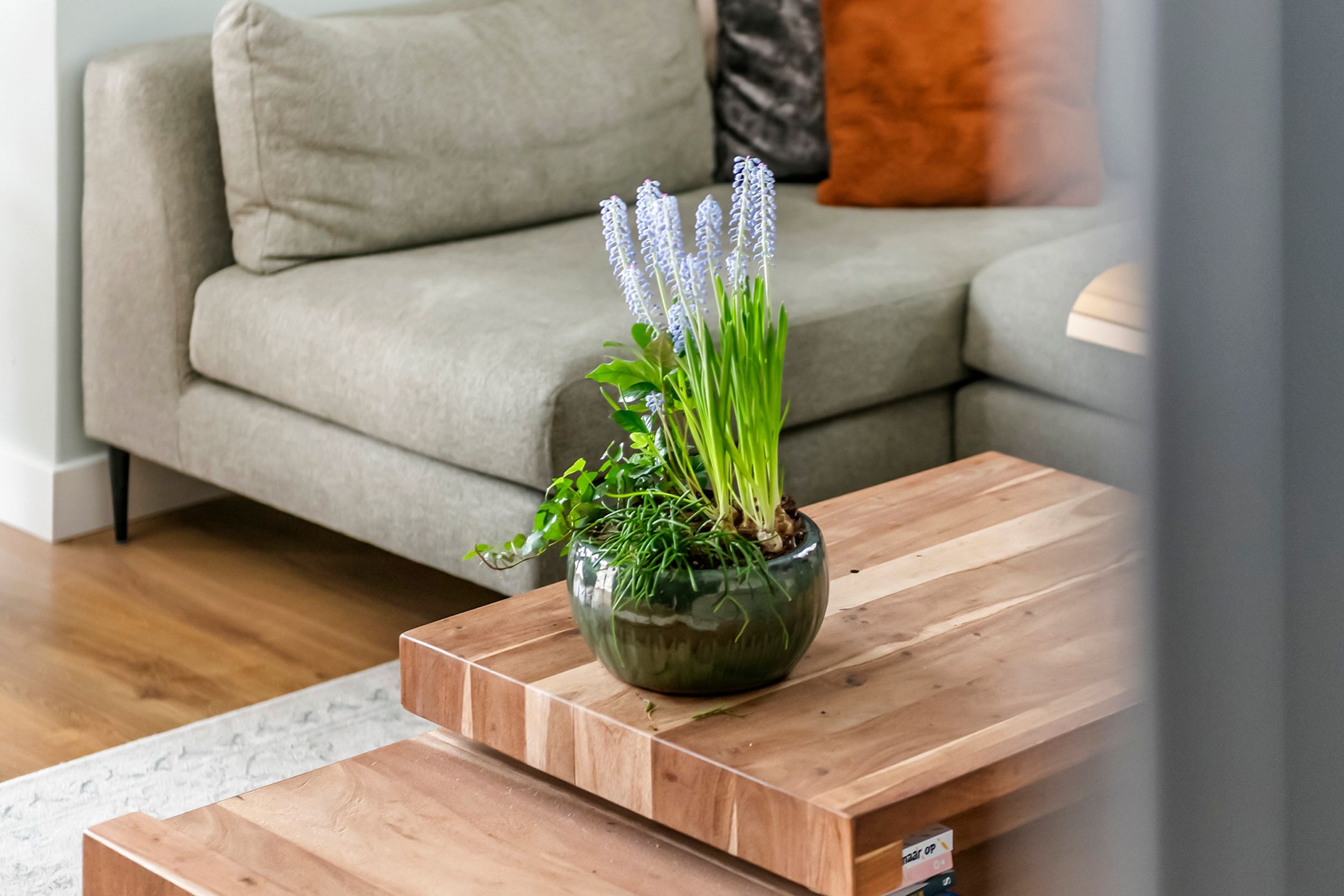 Foto 12 van Fazant 8