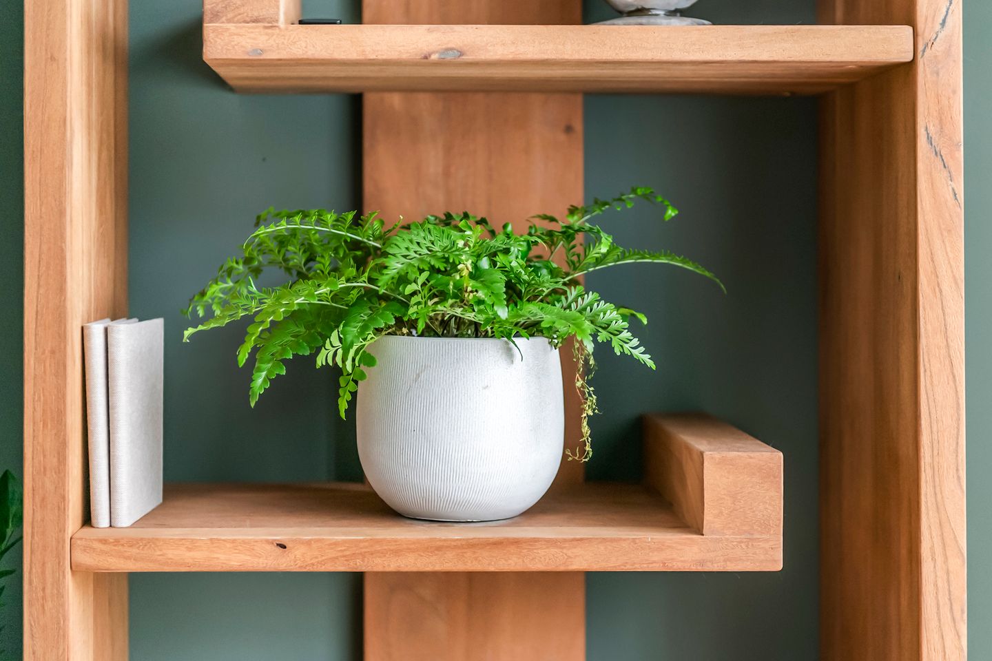 Foto 25 van Fazant 8