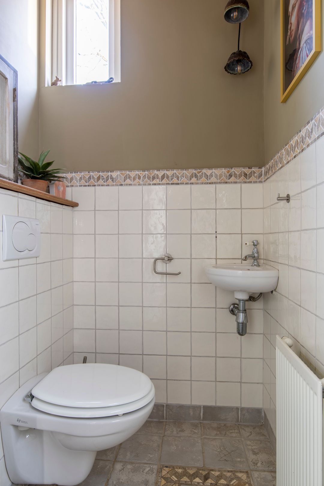 Photo 11 of Baardgras 36