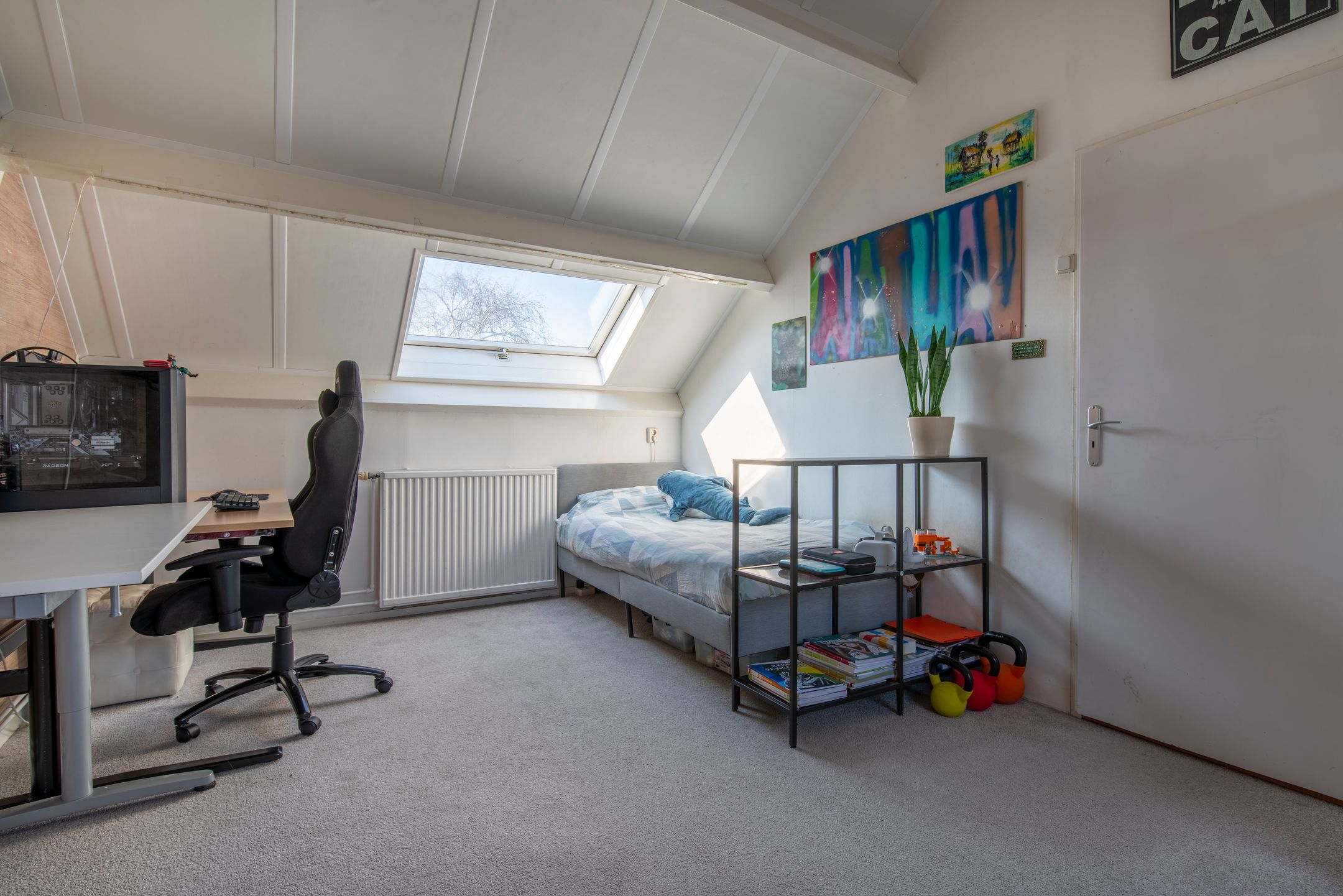 Photo 27 of Baardgras 36