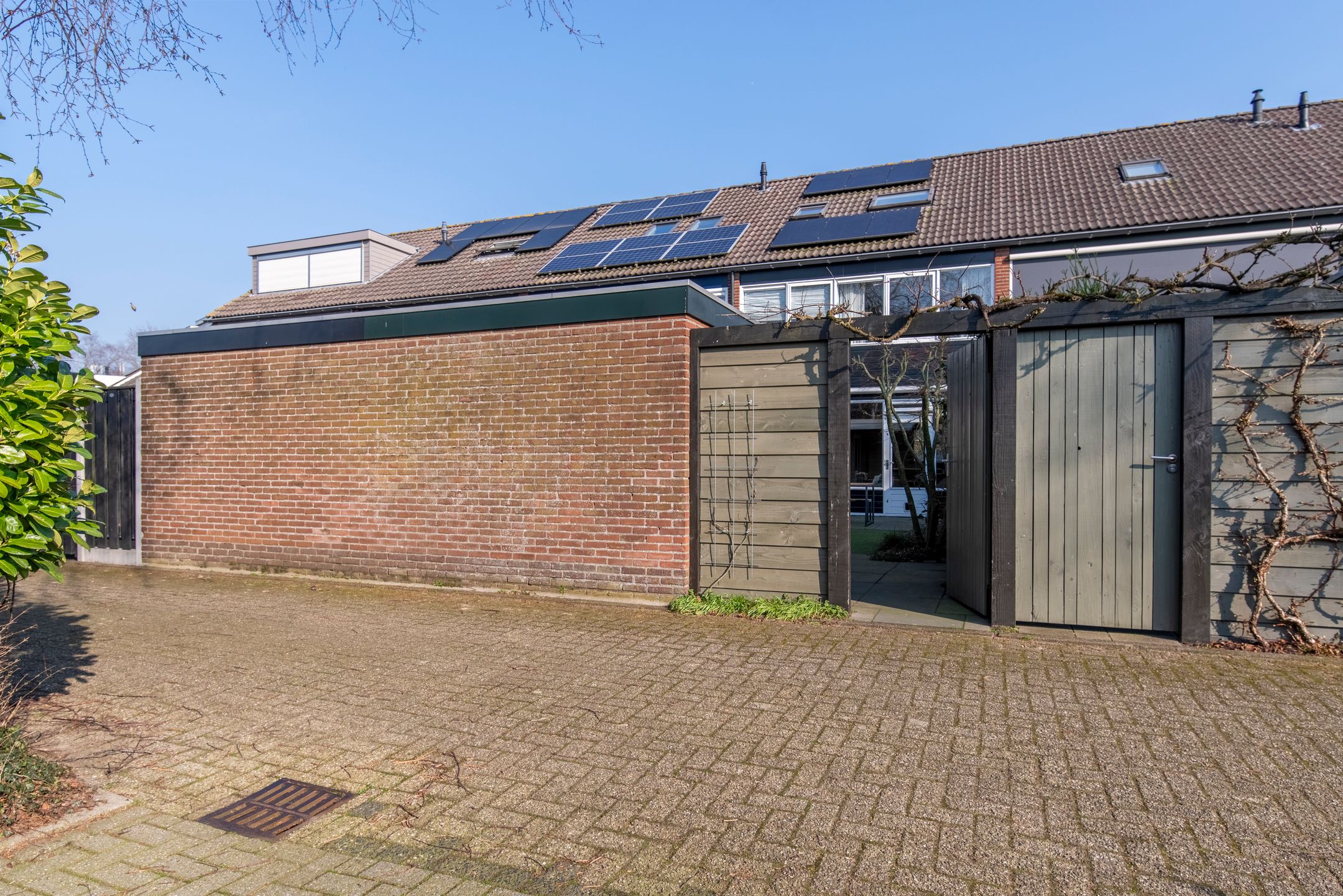 Photo 33 of Baardgras 36