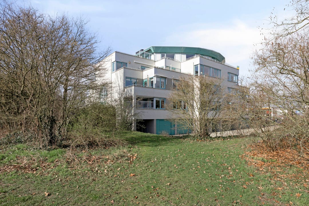 Photo 2 of Symfonie 12