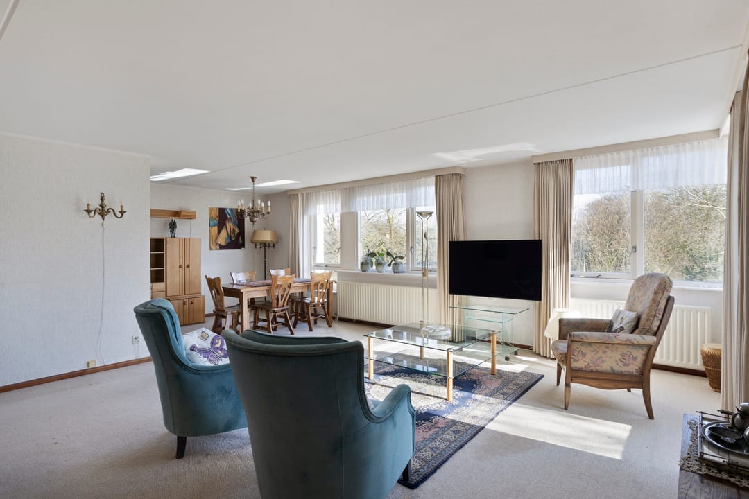 Photo 13 of Symfonie 12