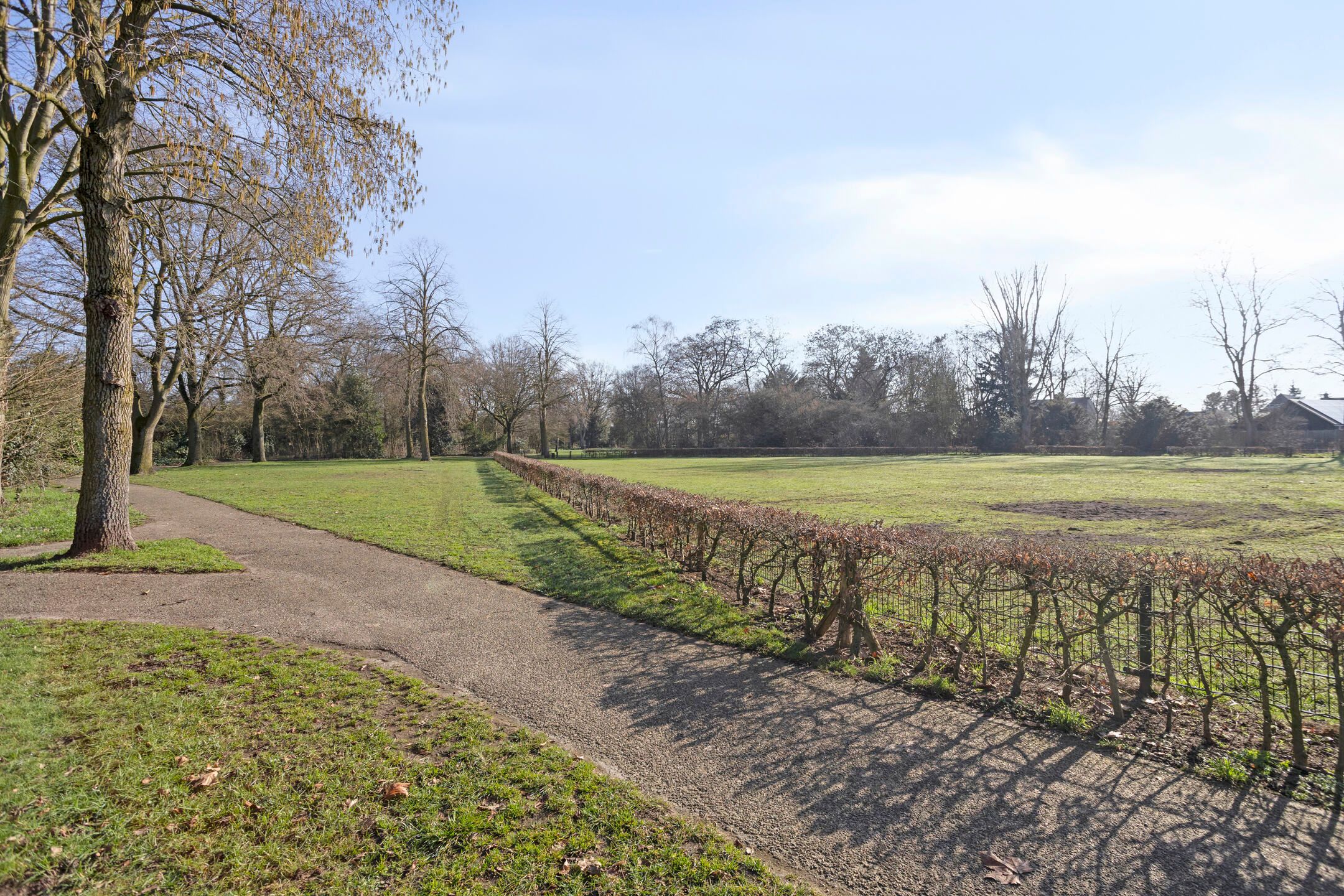 Photo 30 of Symfonie 12