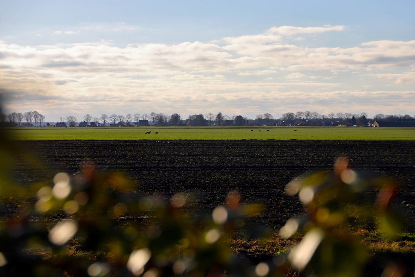 Foto 44 van Oostelijke Koppelveenweg 12