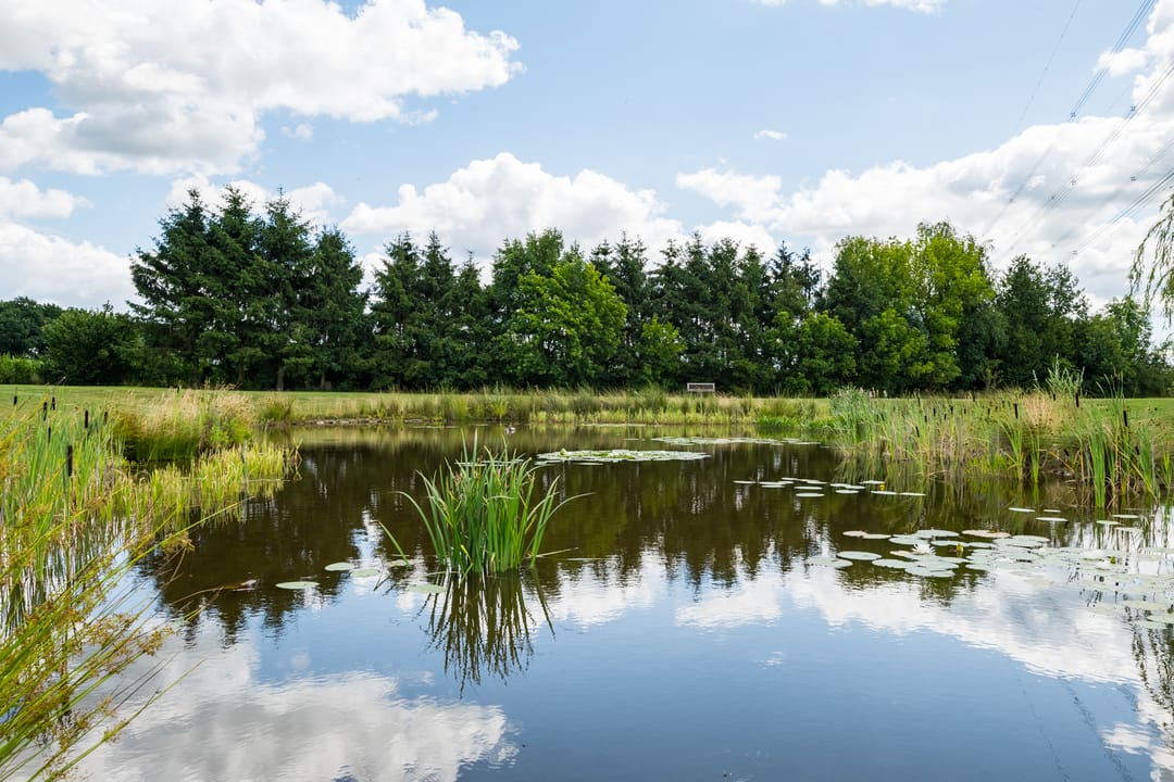 Foto 46 van Breedenbroekseweg 8-B