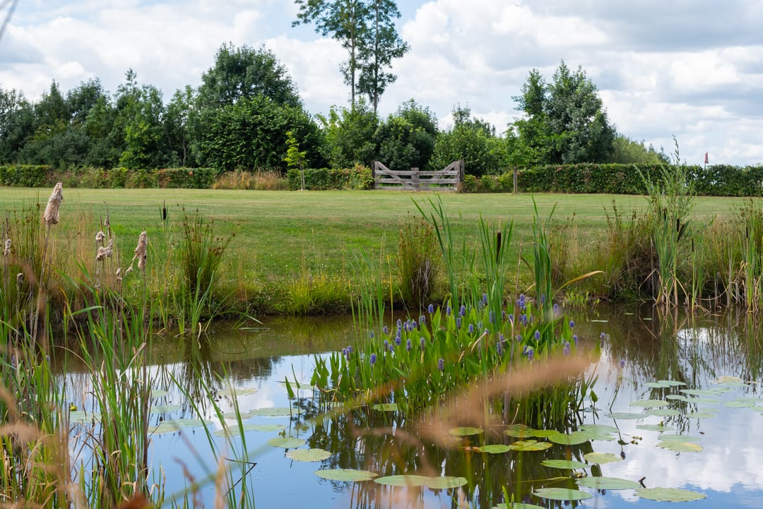 Foto 47 van Breedenbroekseweg 8-B