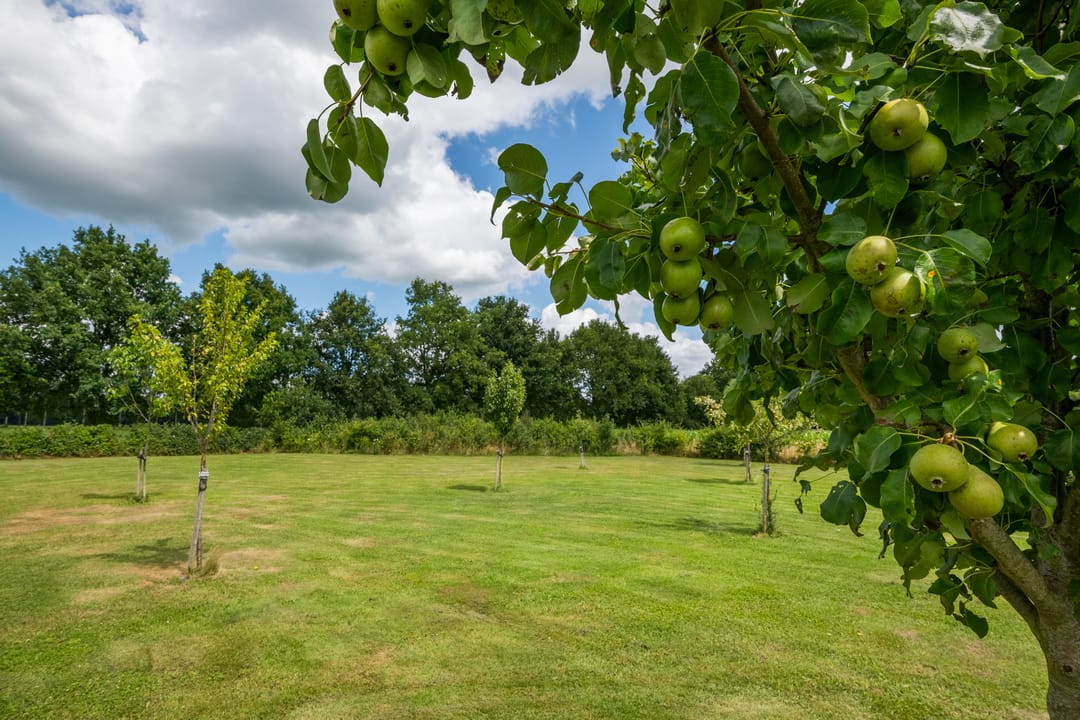 Foto 56 van Breedenbroekseweg 8-B