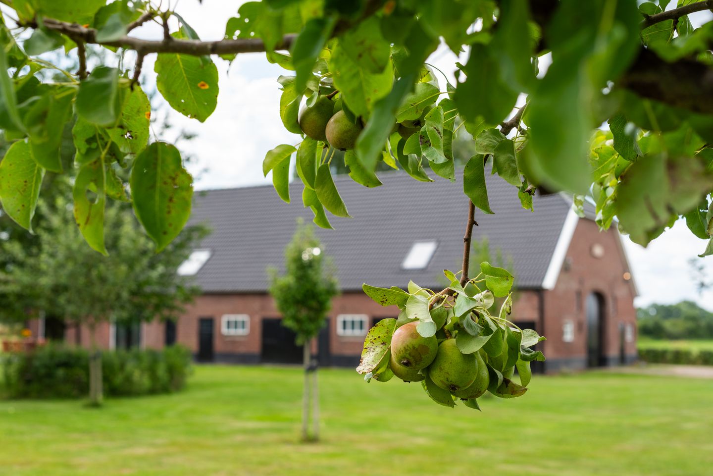 Foto 64 van Breedenbroekseweg 8-B