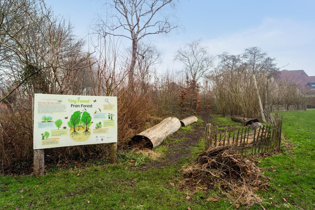 Foto 41 van Boterbloemweide 86