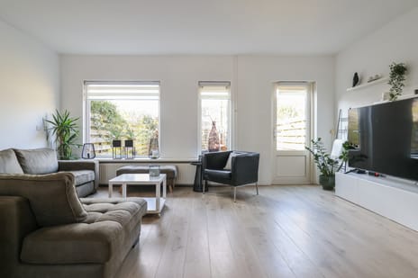 Hanenburg 36 tertiary image