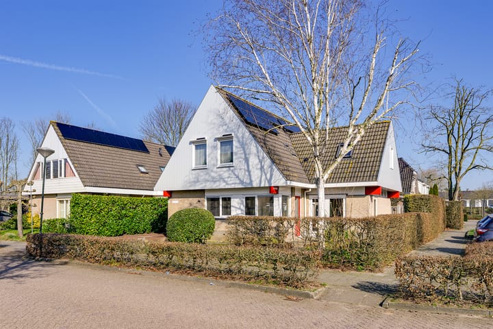 Foto 4 van Vlinderslag 3