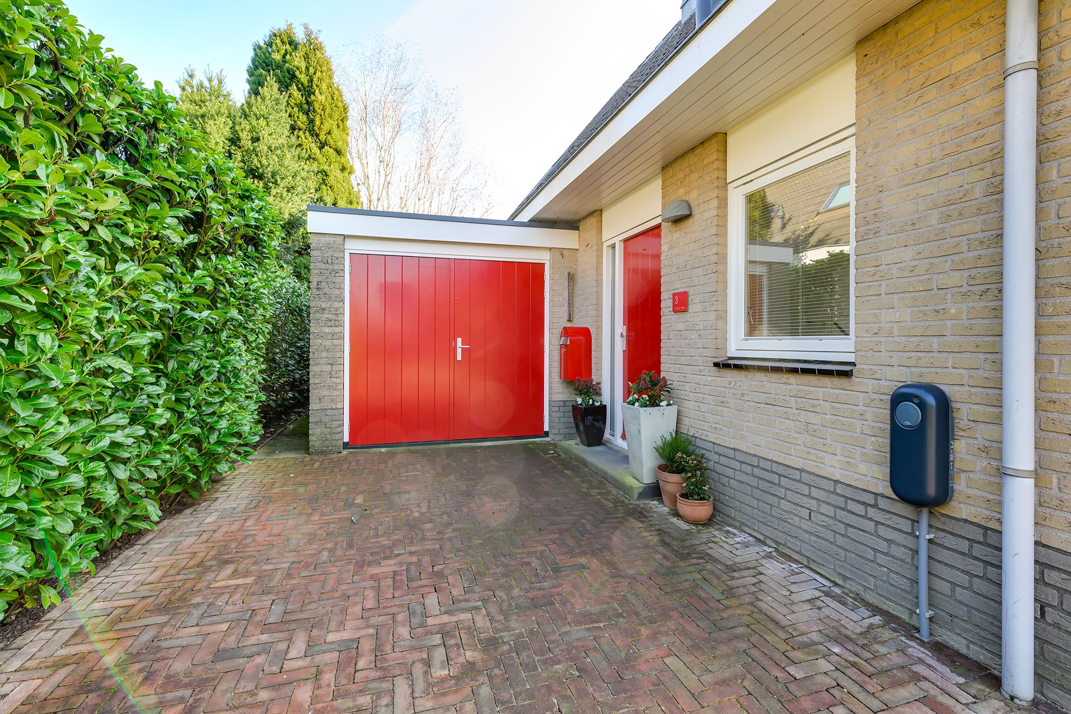 Foto 6 van Vlinderslag 3