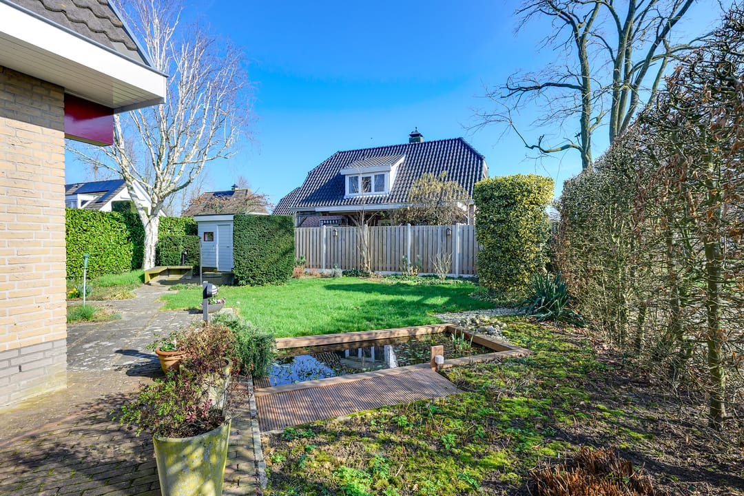 Foto 28 van Vlinderslag 3