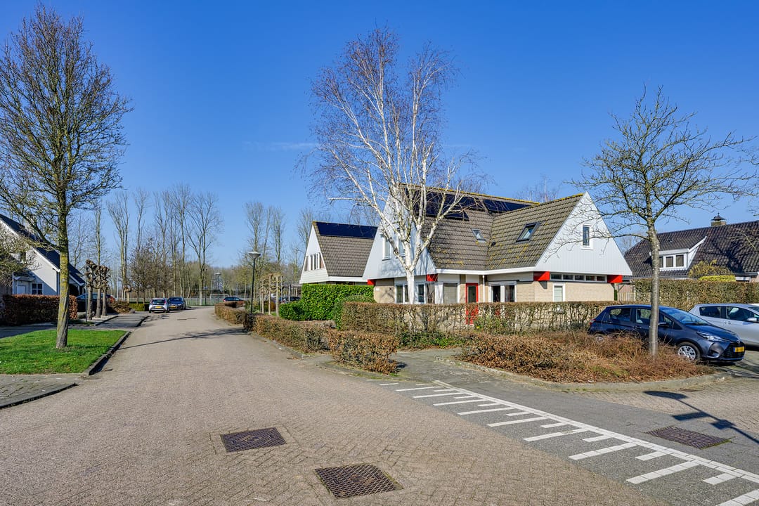 Foto 31 van Vlinderslag 3