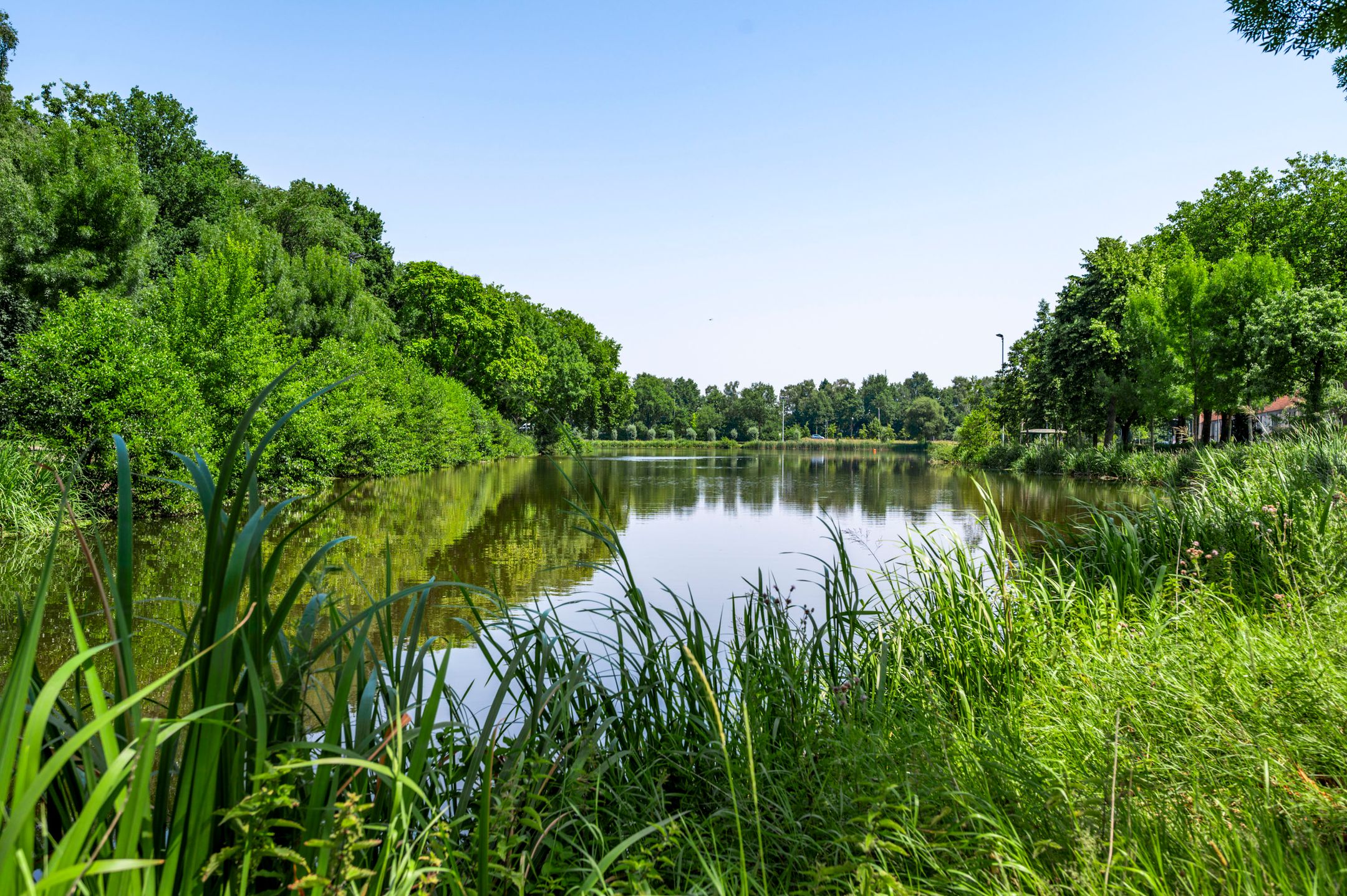 Foto 27 van Elisabethsdal 18