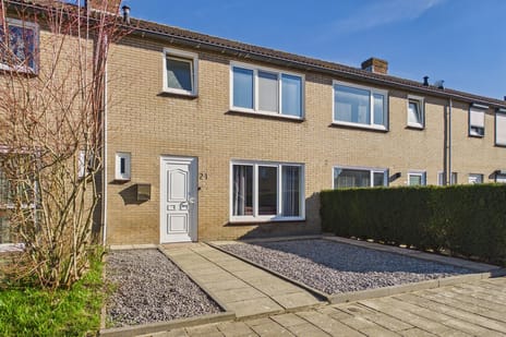 undefined main image