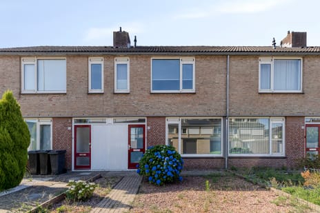 undefined main image