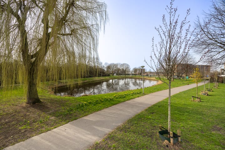 Foto 2 van Hertogstraat 32