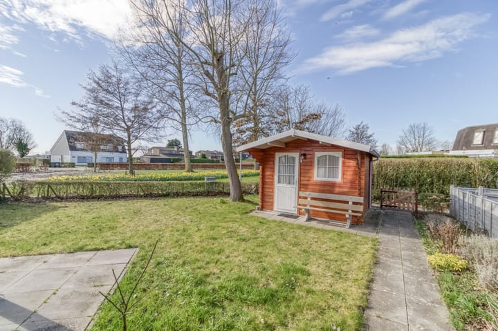 Foto 2 van Liguster 22