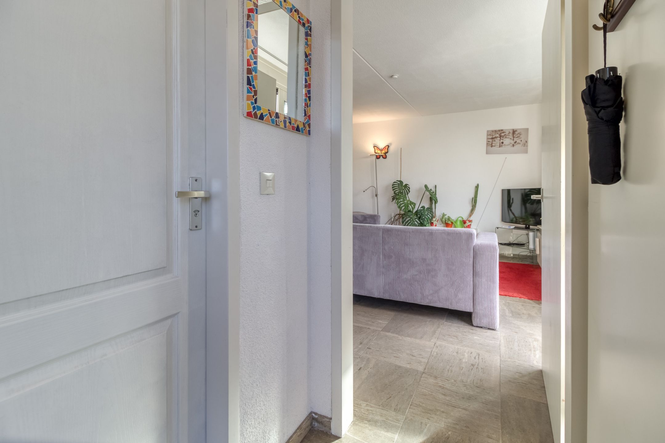 2-bedroom freehold villa in Nieuwvliet — photo 4 of 5