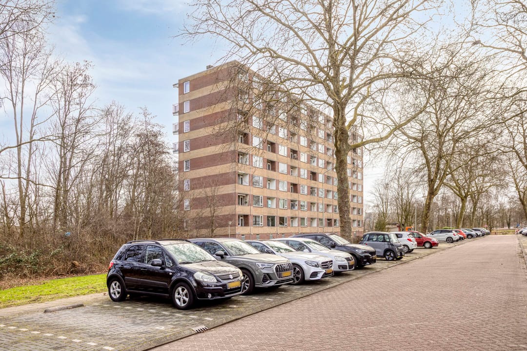 Photo 7 of Fluitekruidweg 239