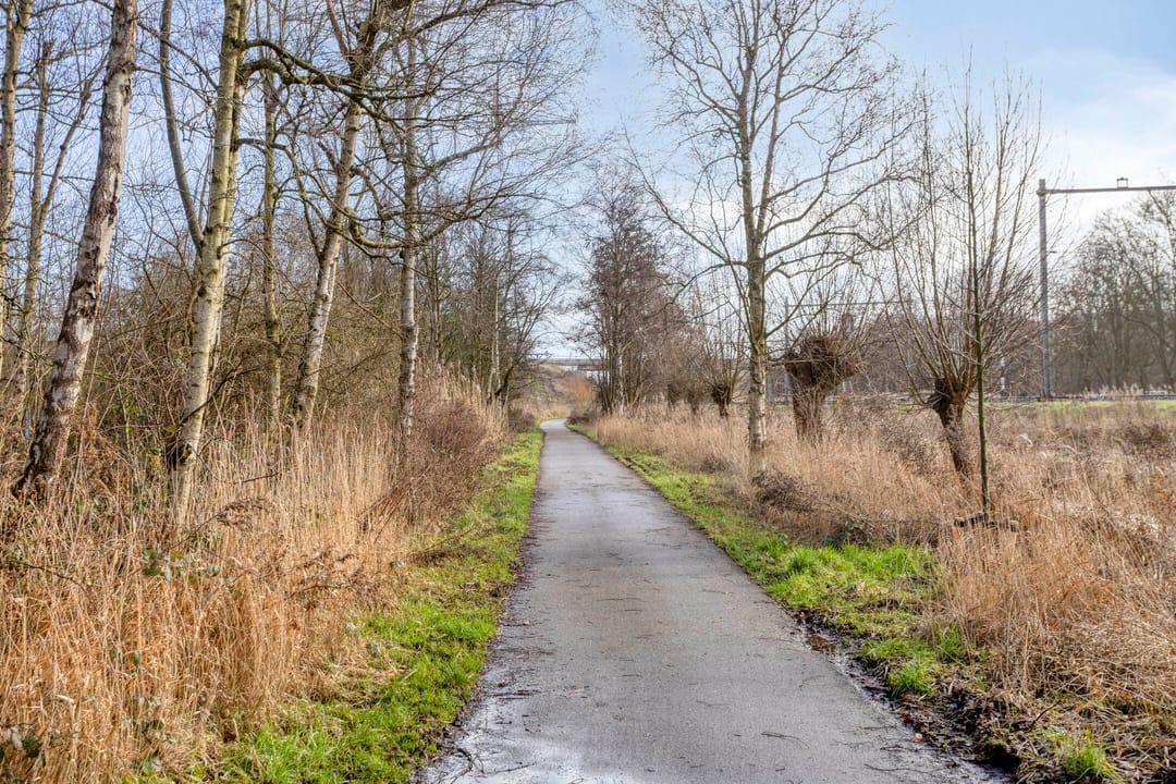 Photo 37 of Fluitekruidweg 239