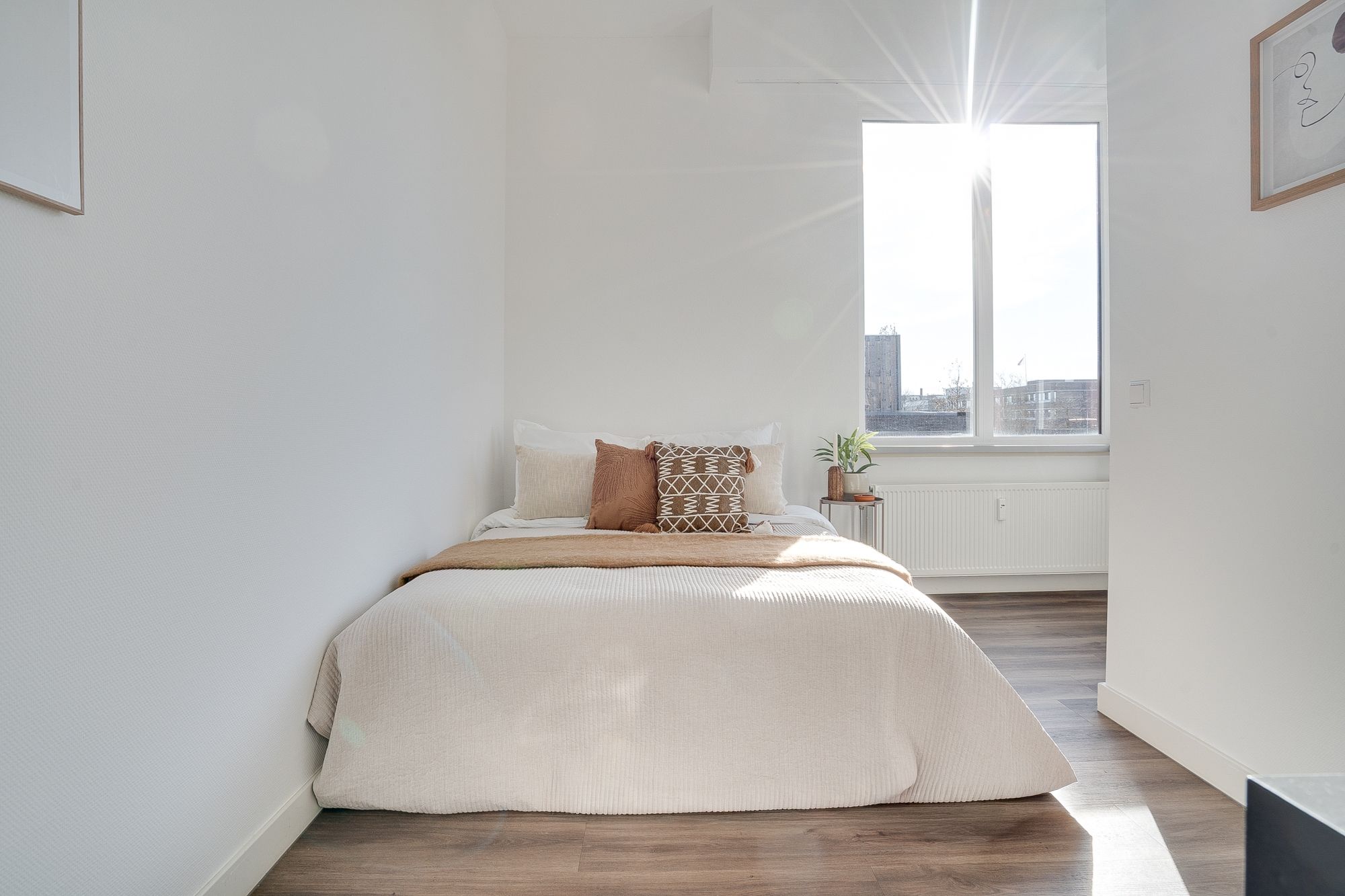 Foto 9 van Geelgors 1-24