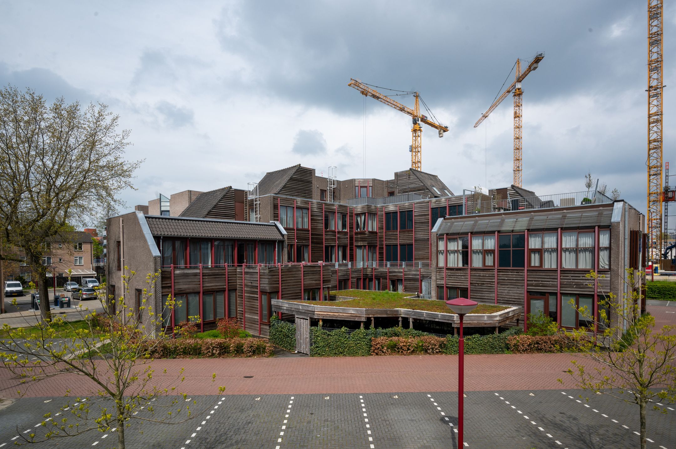 Foto 12 van Geelgors 1-24