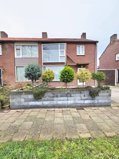 undefined main image