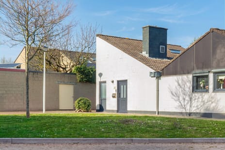 undefined main image