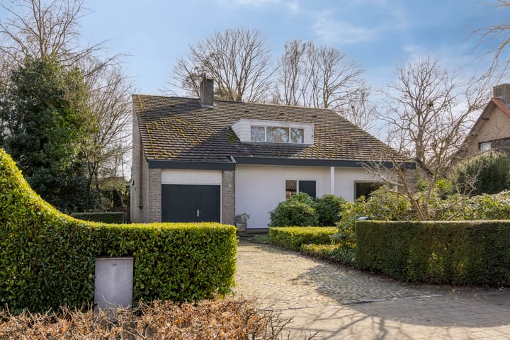 Kranenberg 3 main image