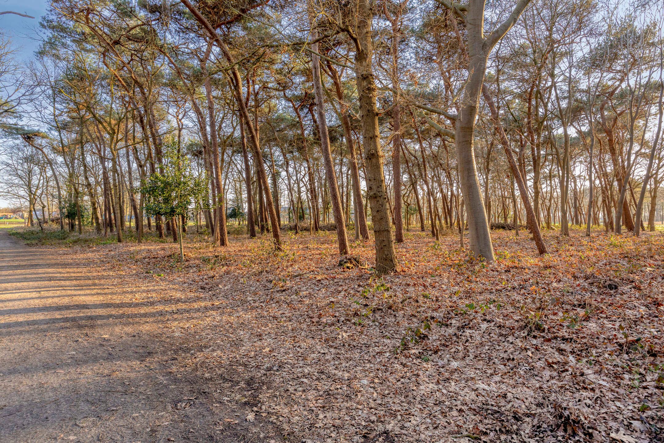 Foto 54 van Kranenberg 3